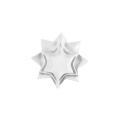 Star shape porcelain serving plate dishes